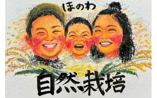 令和7年産 新米予約受付！自然栽培米ひのひかり5kg〈栽培期間中農薬・肥料不使用〉【ほのわ】_HA1609