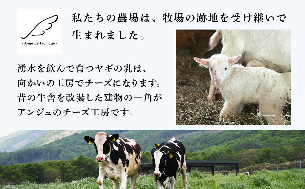 【北海道黒松内産】アンジュ・ド・フロマージュ セミハードチーズ「クロマツナイ」１ホール（約４キロ）受注生産