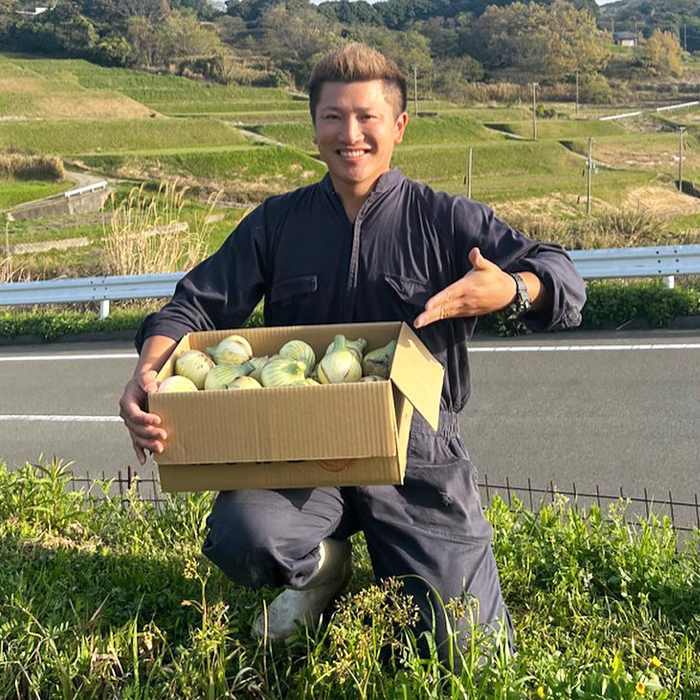 淡路島産 新玉ねぎ 10kg【栽培期間中、無農薬栽培】【訳あ