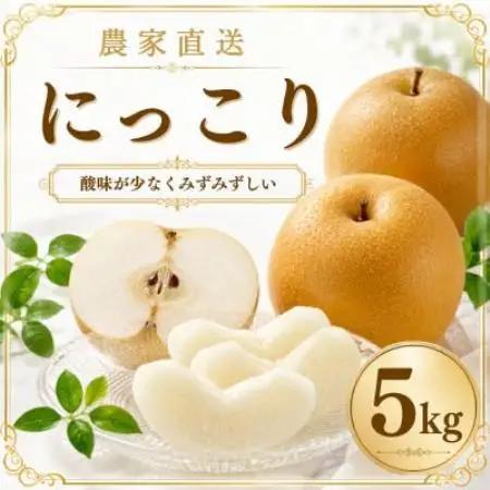 にっこり 梨 5kg (8～12玉)【2026年発送】かすみがうら市【配送不可地域：離島・沖縄県】【1743818】