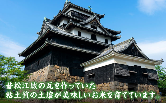 松江市産きぬむすめ「ながえ米」20kg(2kg×10) 島根県松江市/有限会社藤本米穀店 [ALCG017]