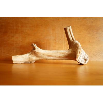 ふるさと納税 屋久島町 【屋久島の流木】中サイズ　タイプ1 |  | 03