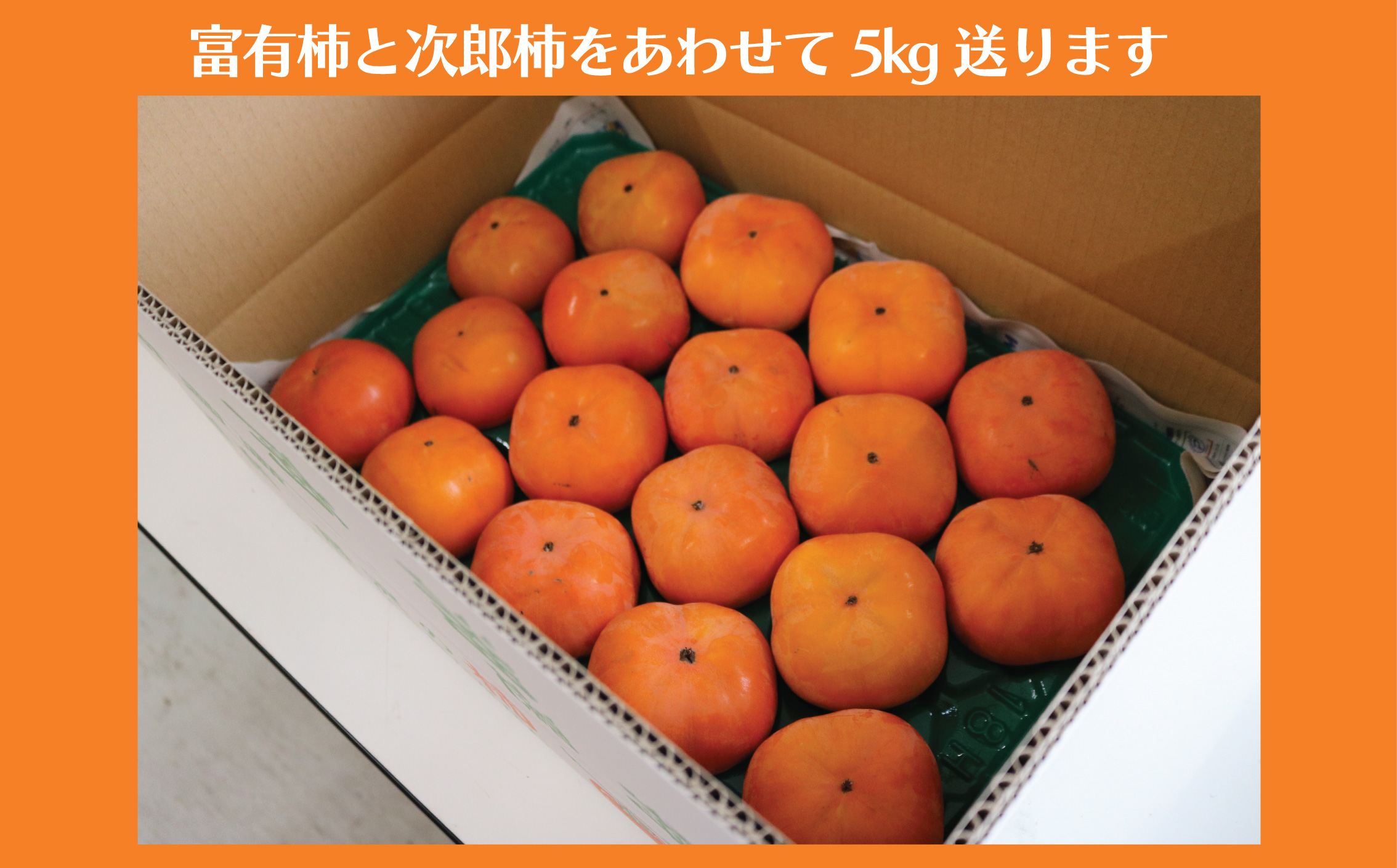 柿 富有柿 次郎柿 5kg 贈答用 品種おまかせ 先行予約 2026年11月中旬発送 かき カキ もぎたて くだもの 果物 果実 フルーツ 旬 新鮮 先行予約 数量限定 産地直送 農家直送 健康 ビタ