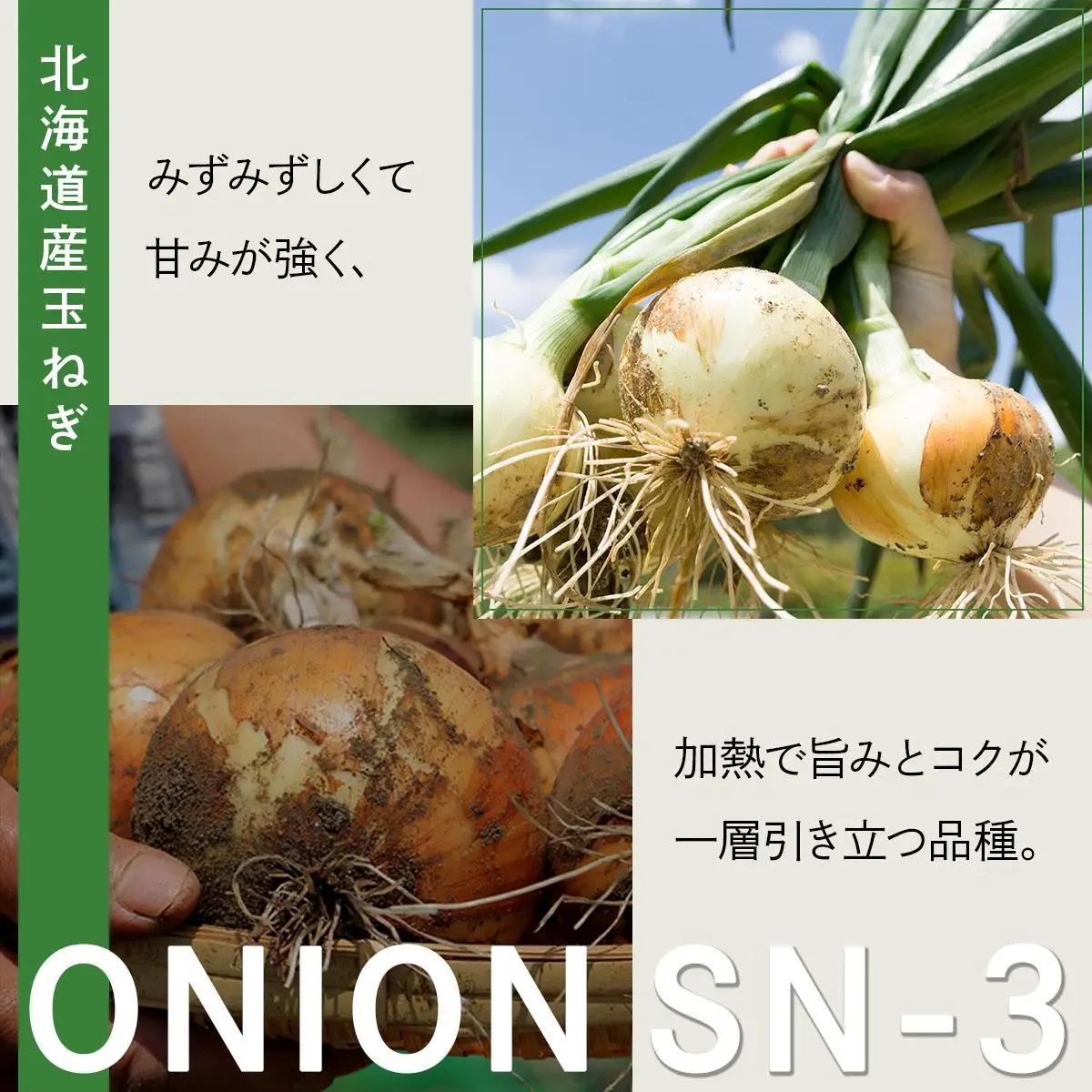 【先行予約】畑から直送の新鮮野菜！玉ねぎ(SN-3) 20kg [a168-003] 