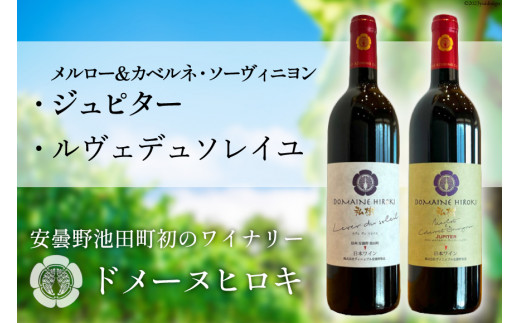 
ルヴェデュソレイユとメルロー＆カベルネ・ソーヴィニョンジュピターセット 各750ml [ ヴィニョブル安曇野(ドメーヌ・ヒロキ)長野県 池田町 48110599] ワイン 赤 赤ワイン 飲み比べ ワインセット
