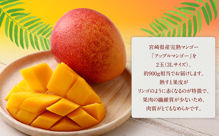 ＜宮崎県 完熟マンゴー3L×2玉 900g＞2026年4月上旬～7月上旬までに順次出荷【c1164_hi_x2】 マンゴー 完熟 果物 くだもの フルーツ 高鍋町