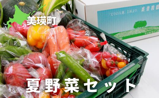 
            【先行予約】夏野菜セット <令和8年産 > 旬 やさい セット 人気 おすすめ ベジタブル 北海道 北海道美瑛 北海道美瑛町 美瑛町 美景農園 [019-70]
          