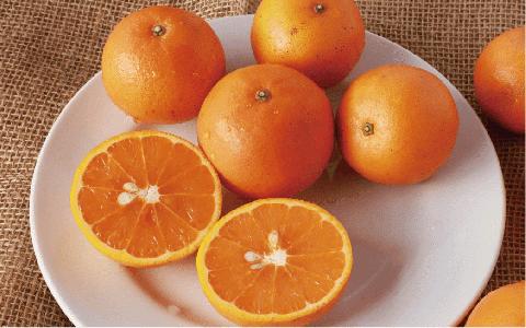 みかん農家坂元さんちのタンカンご家庭用8kg(坂元果樹園/A-056)