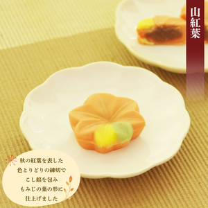 【先行予約】 訳ありハヤシカネの和菓子詰合せ30個 | 菓子 菓子 菓子 菓子 菓子 IR