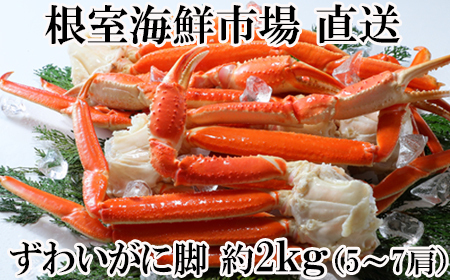 根室海鮮市場[直送]本ズワイガニ脚2kg(5～6肩)