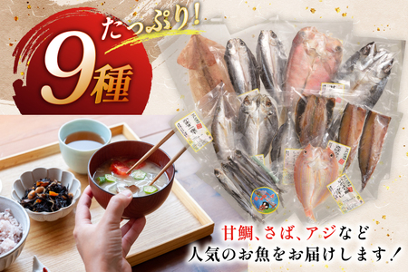おつまみ イカ 旬魚 平戸 干物 9種 詰め合せ 定期便 12回 [森崎水産 長崎県 平戸市 hr42bgy410093]