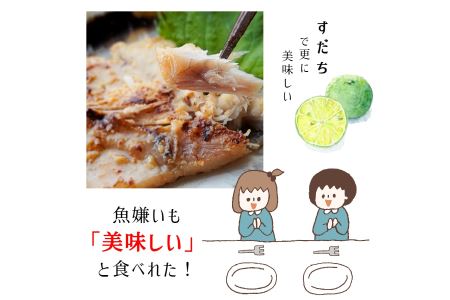 【定期便】ソフト干物 盛り合わせ 5～7種（発送月固定）