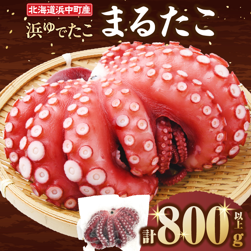 【令和8年2月発送分】浜ゆでたこ「まるたこ」800g以上×1袋 北海道浜中町産_H0023-035
