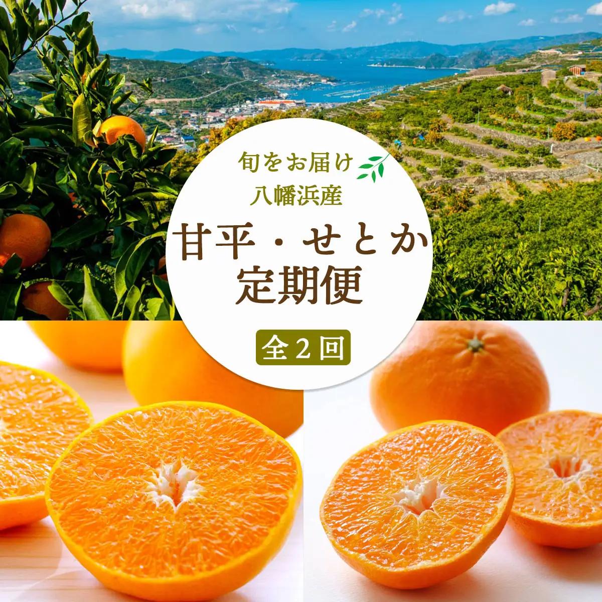 【発送月固定定期便】【愛媛限定栽培】甘平3kg×せとか2kg【H25-271】全2回【4071372】 YWTAP212