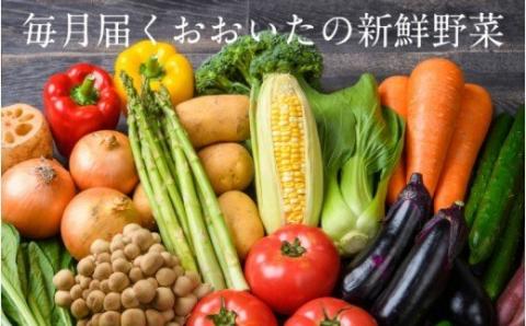 毎月お届け！おおいたの旬野菜10月から半年間定期便/計6回発送_1774R