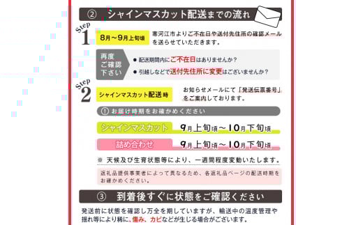 《先行予約》「 シャインマスカット 」 2～3房（計1.4kg） 山形産 【2025年9月下旬頃～10月下旬頃発送予定】　018-B-MM022