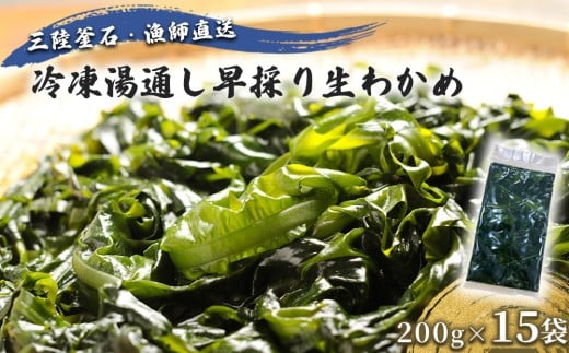 fc-72-043 三陸釜石・漁師直送 冷凍湯通し早採り生わかめ（200g×15袋) 【1月下旬頃から3月下旬頃期間限定 お届け便】  両石港 隆丸