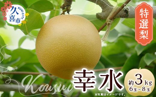 
            【先行予約 数量限定】梨 幸水 約3kg 6玉～8玉 | 宮野梨園 梨 フルーツ 高級 産地直送 限定品 贈り物 新鮮 お取り寄せ デザート ギフト 風味豊か 赤梨 大玉 香り 上品 希少価値 珍しい 地域 甘い 限定 果物 果樹 幸水 梨 なし 果物 フルーツ 埼玉県 久喜市 菖蒲 和梨
          