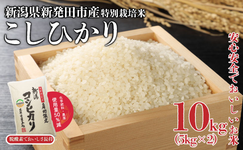 
            特別栽培米 コシヒカリ 10kg 5kg×2袋 令和6年産 米 こめ ご飯 ごはん おいしい 新潟 新潟県 米 5kg 10kg コシヒカリ 新発田産 新潟産 朝食 昼食 夕飯 炊きたて 精米 watasho005_1
          