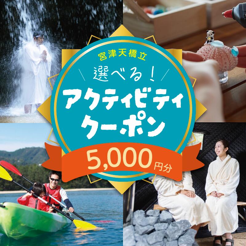 【ふるさと納税】宮津・天橋立のアクティビティで使えるクーポン券5,000円分