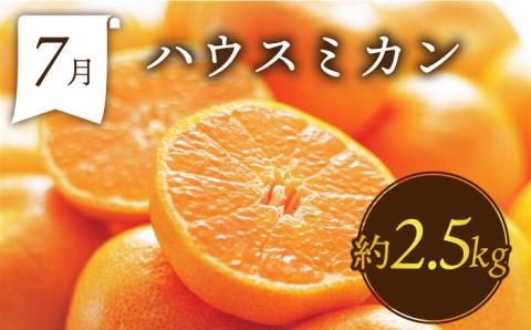 【年6回 奇数月コース】果物屋が選ぶ旬のフルーツ定期便 いちご メロン ハウスみかん 梨 柿 など / 南島原市 / 贅沢宝庫 [SDZ021]