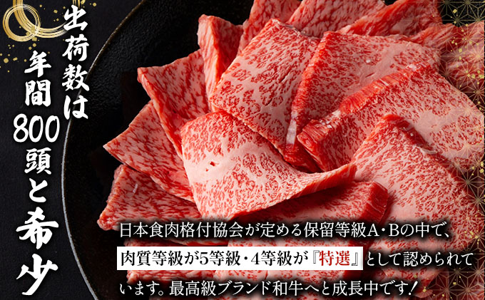 特選石垣牛の贅沢なお肉付き牛スジをご家庭で！！牛スジ500g×4パック | 沖縄 石垣 牛スジ 牛 肉 特選 黒毛 和牛 贅沢 | IM-22