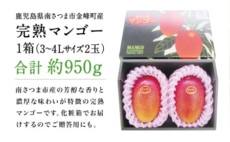 鹿児島県産 完熟マンゴー 3～4Lサイズ 2玉（化粧箱入り）［数量・期間 限定 ］先行予約 先行受付 マンゴー 完熟マンゴー トロピカルフルーツ 完熟 芳醇 国産 果実 果物 くだもの フルーツ 果肉