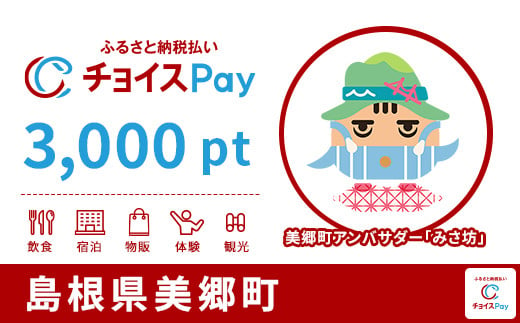 
美郷町チョイスPay 3,000pt（1pt＝1円）【会員限定のお礼の品】
