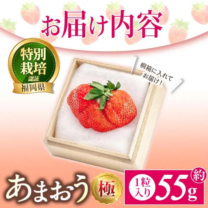 ＜予約受付中！2026年11月より順次発送予定＞あまおう「極」 (1個・約55g) 苺 いちご イチゴ 国産 福岡県 果物 フルーツ 冷蔵 特別栽培 贈答 ＜離島配送不可＞【ksg1977】【うるう農