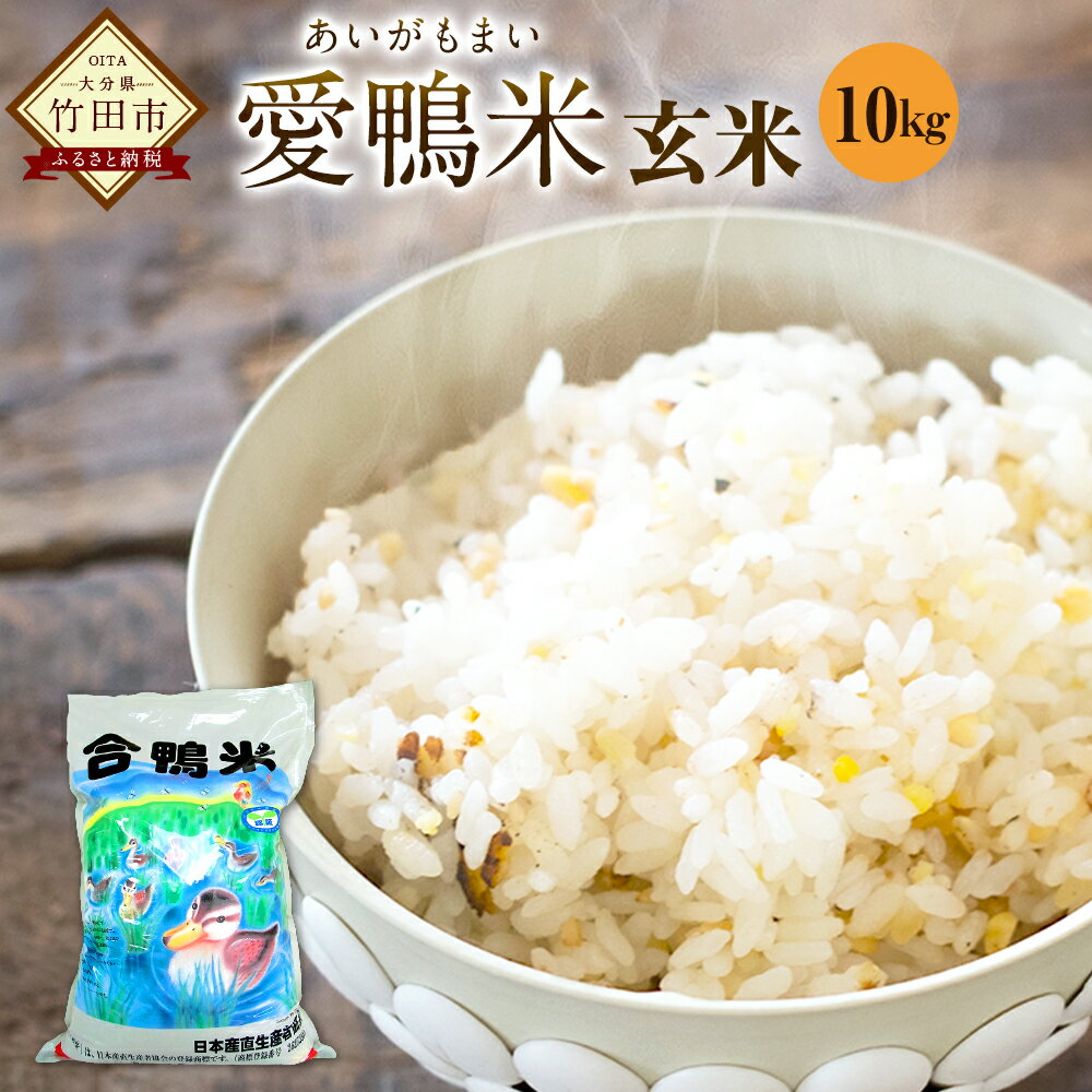 【ふるさと納税】〈令和7年産〉 愛鴨米 玄米 10kg 送料無料 ナツホノカ うるち玄米 祖母山 一番水 大分県産【2025年10月上旬～2026年10月上旬発送予定】