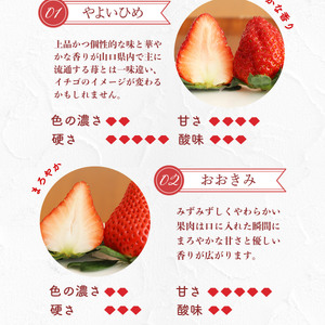 E014 ひかりの苺 （ルビー）4品種セット 1kg 2026年1月から4品種そろい次第順次発送 1000g やよいひめ おおきみ おいCベリー もういっこ イチゴ いちご 4パック 詰め合わせ 食べ