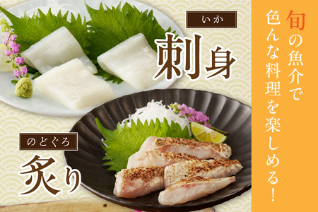 【定期便】季節の鮮魚セット年6回コース 定期便 6回 鮮魚 お任せ お取り寄せ 魚介 鮮魚 セット 下処理済み 【744】