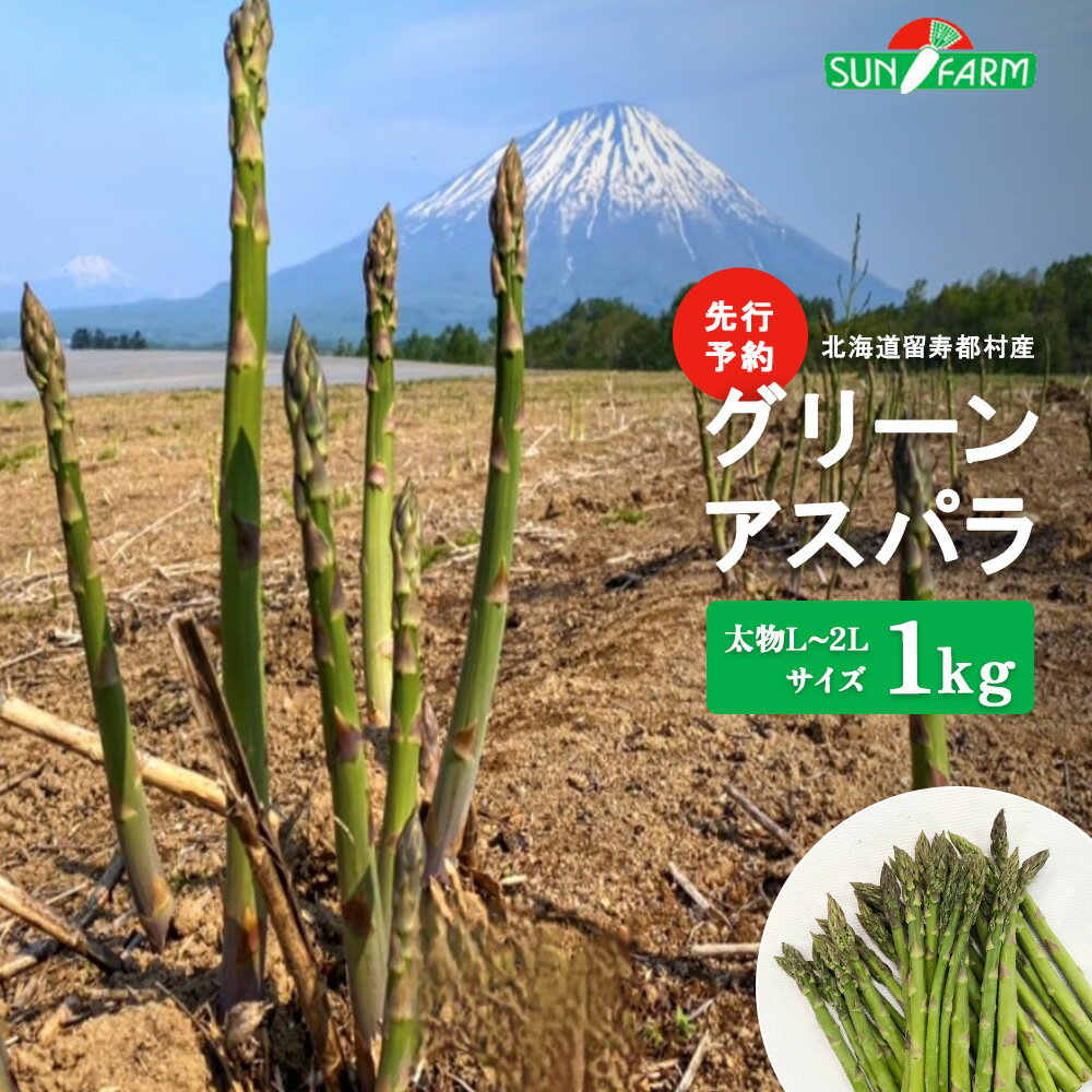 【ふるさと納税】【先行予約】グリーンアスパラ 太物 L～2Lサイズ 1kg オンライン 申請 ふるさと納税 北海道 留寿都 アスパラ アスパラガス 野菜 春 旬野菜 季節野菜 産地直送 新鮮 採れたて サラダ おかず グラタン 肉巻き 1キロ 留寿都村【24002】
