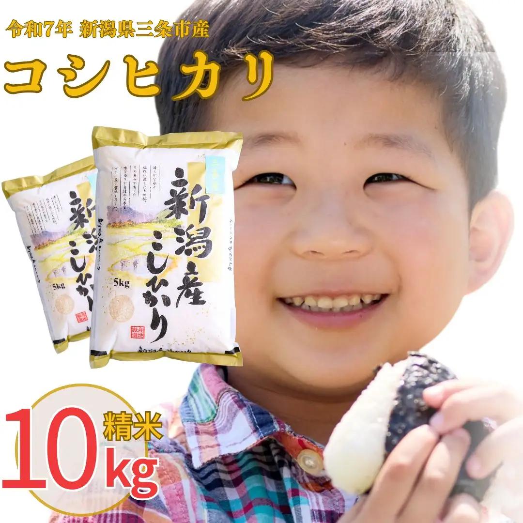 新潟県三条市産 コシヒカリ 10kg 精米 令和7年 コシヒカリ 白熊