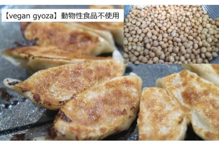 ［ビーガン・完全無添加］有機小麦・大豆の冷凍餃子【AT-008】