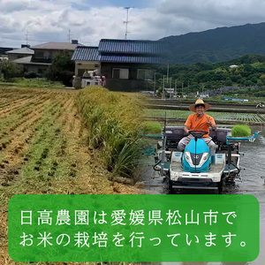 令和5年産！愛媛県産ヒノヒカリ 10kg | 米 ｺﾒ 米 ｺﾒ 米 ｺﾒ 米 ｺﾒ 米 ｺﾒ 米 ｺﾒ 米 ｺﾒ 米 ｺﾒ 米 ｺﾒ 米 ｺﾒ 米 ｺﾒ 米 ｺﾒ 米 ｺﾒ 米 ｺﾒ 米 ｺﾒ 米 