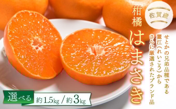
            【先行予約】＜選べる容量＞佐賀産柑橘「はまさき」 約1.5kg(4-8玉) or 約3kg(7-12玉) / ふるさと納税 佐賀 フルーツ 濃厚 甘い 酸味 大町 贈答 ギフト 贈り物
          