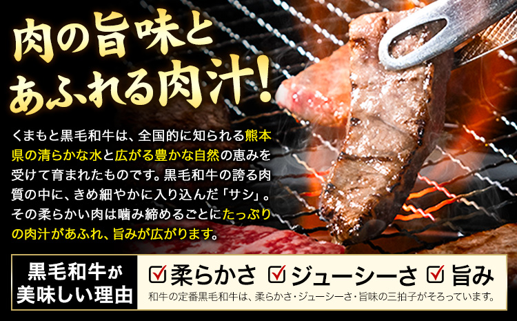 牛肉 A4～A5等級 黒毛和牛 切り落とし くまもと黒毛和牛 上 ロース 焼肉切り落とし 600g 《30日以内に出荷予定(土日祝除く)》熊本県 長洲町 上ロース 焼肉用 焼肉 肉 お肉 和牛 A5 