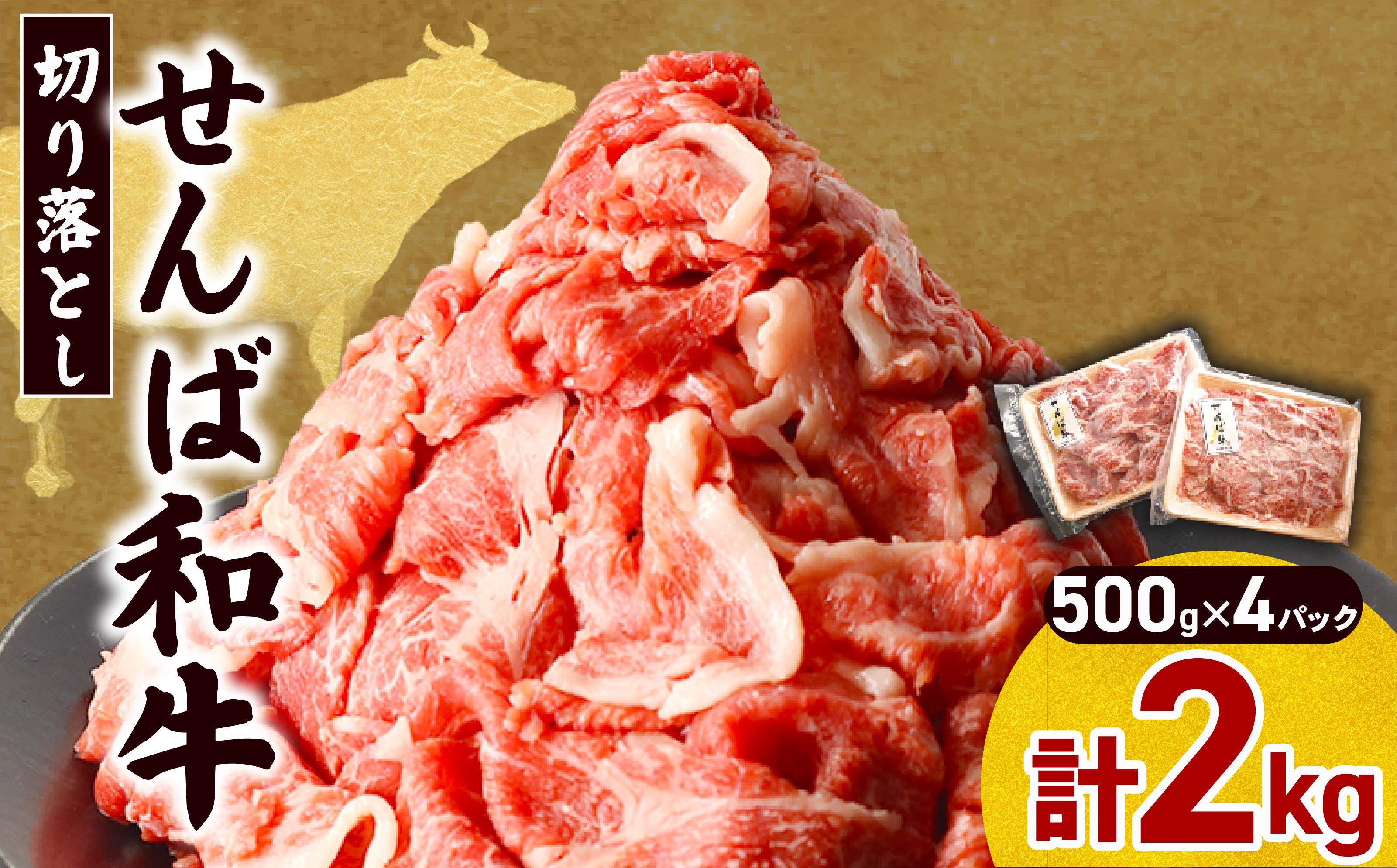 
                  牛肉 切り落とし ブランド牛 2kg ( 500g × 4P ) せんば牛 肉 小分け 冷凍 国産牛 国産牛肉 国産 切り落とし きりおとし 切り落し 切落し 牛スライス HACCP 千葉県 旭市 地方の恵み cnm016
                
