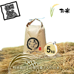 【令和7年産・白米5㎏】特別栽培「五郎兵衛さんのお米」＜2025年10月初旬以降順次配送＞ 長野県 信州 先行予約 新米 こしひかり【五郎兵衛米 米 コメ 白米 精米 お米 こめ おこめ 備蓄品 仕送り おすそ分け 備蓄米 コシヒカリ こしひかり 長野県 佐久市 】