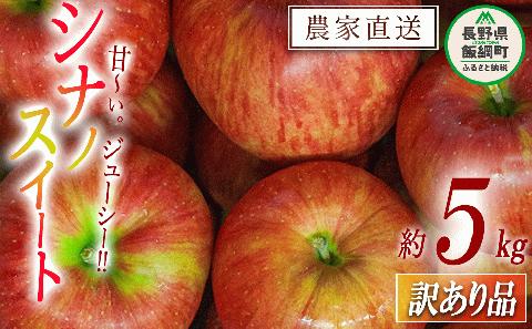 りんご シナノスイート 訳あり 5kg 令和6年度収穫分 沖縄県配送不可 2024年10月中旬頃～2024年11月上旬頃まで順次発送予定 宮本ファーム エコファーマー 減農薬 長野 飯綱 [1490]