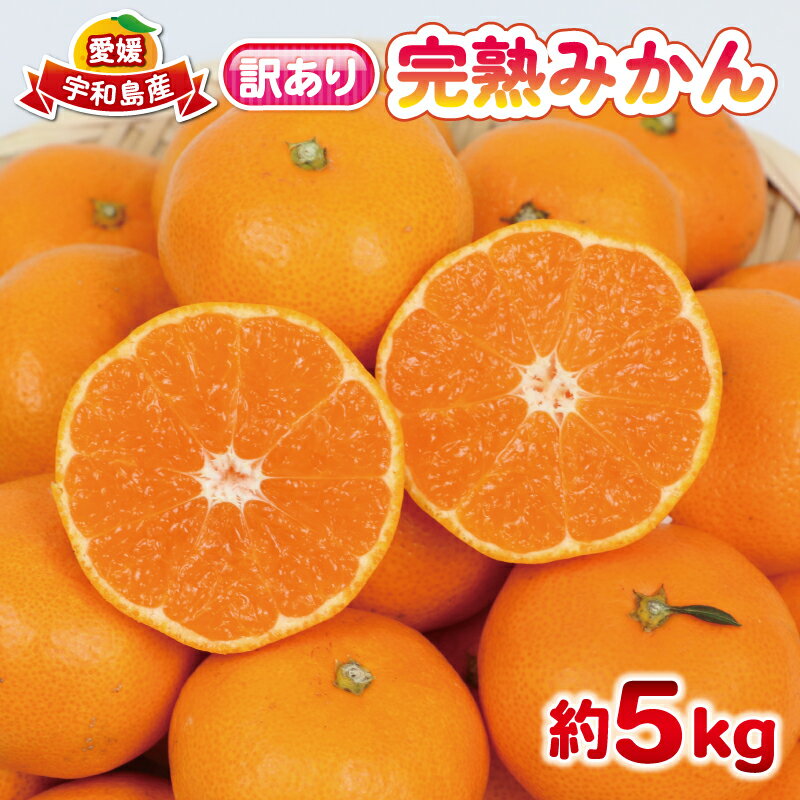 【ふるさと納税】 完熟みかん 訳あり 完熟 みかん 早生みかん 5kg 杉本屋 先行予約 完熟 温州みかん みかん ミカン mikan 早生 温州 蜜柑 みかん 果物 くだもの フルーツ 愛媛みかん 愛媛ミカン 愛媛蜜柑 宇和島みかん 柑橘 産地直送 数量限定 国産 愛媛 宇和島 B010-143004
