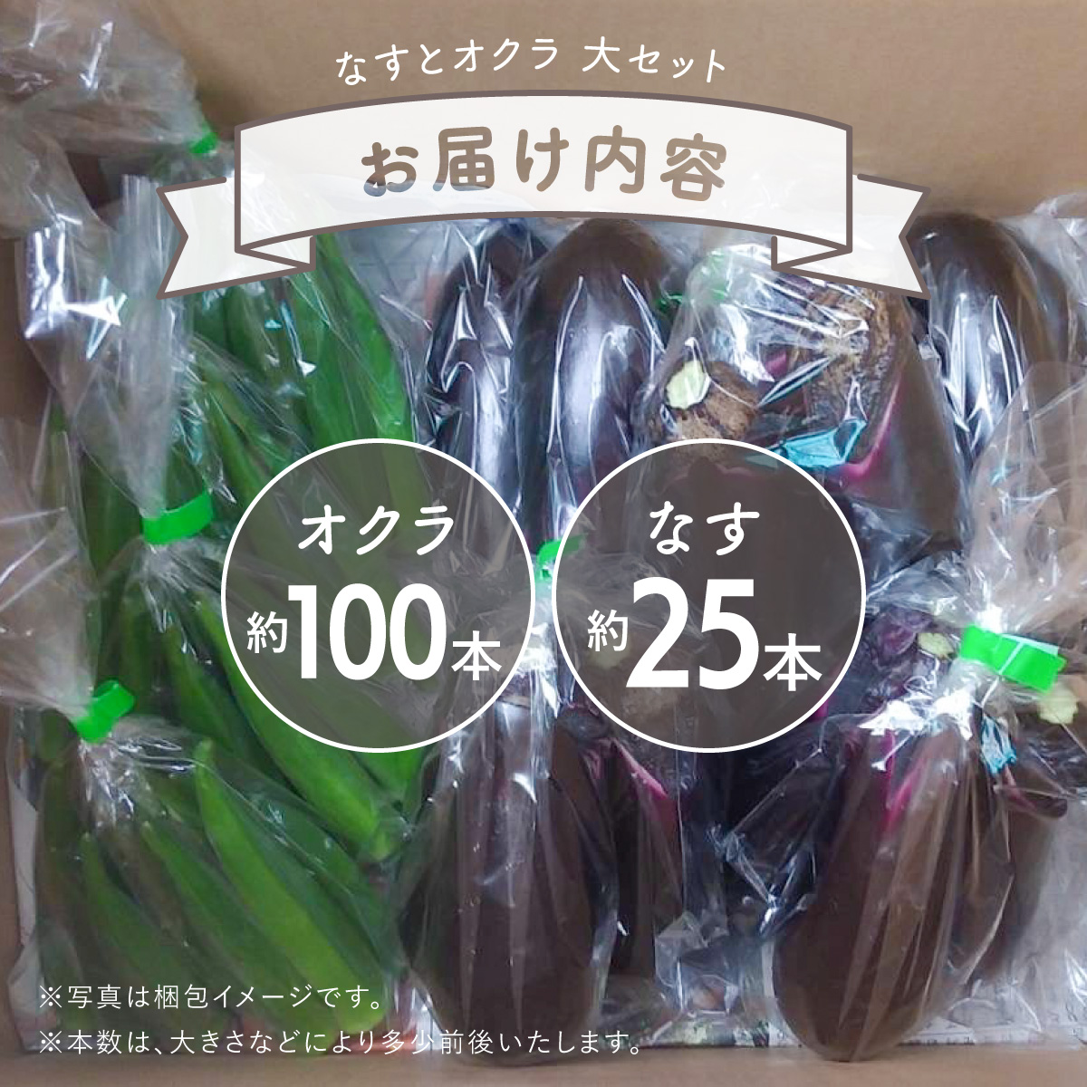 夏野菜 詰め合わせ 大セット なす おくら 野菜 茄子 ナス オクラ 産地直送 天敵栽培 【2025年7月以降順次発送】
