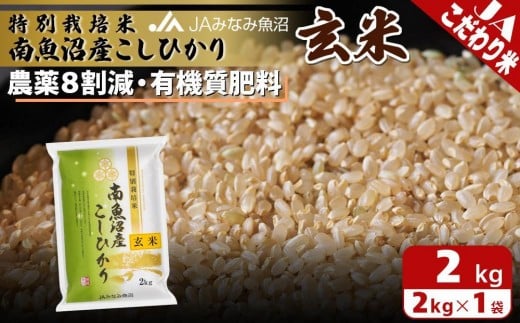【令和7年産】特別栽培米南魚沼産こしひかり8割減 玄米 2kg 農薬8割削減 有機肥料 調整玄米 精選玄米 特A獲得日本一産地 もっちり甘い 南魚沼産コシヒカリ