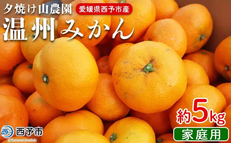 ＜夕焼け山農園 愛媛県西予市産 温州みかん 家庭用 約5kg＞『2026年10月上旬～12月下旬予定』果物 フルーツ ミカン 蜜柑 柑橘 なんかん 訳あり うんしゅうみかん ウンシュウ 特産品 愛媛県 西予市 【常温】AYN0008