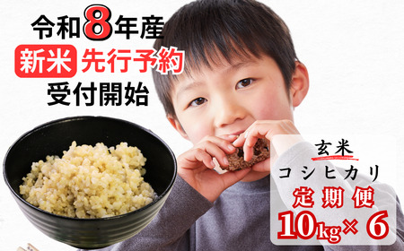 【令和8年産新米・先行予約】【6回定期便】あわくら源流米 コシヒカリ 玄米 10kg｜西粟倉村産・昼夜寒暖差が育む甘み｜ふるさと納税 K-ac-CFZA