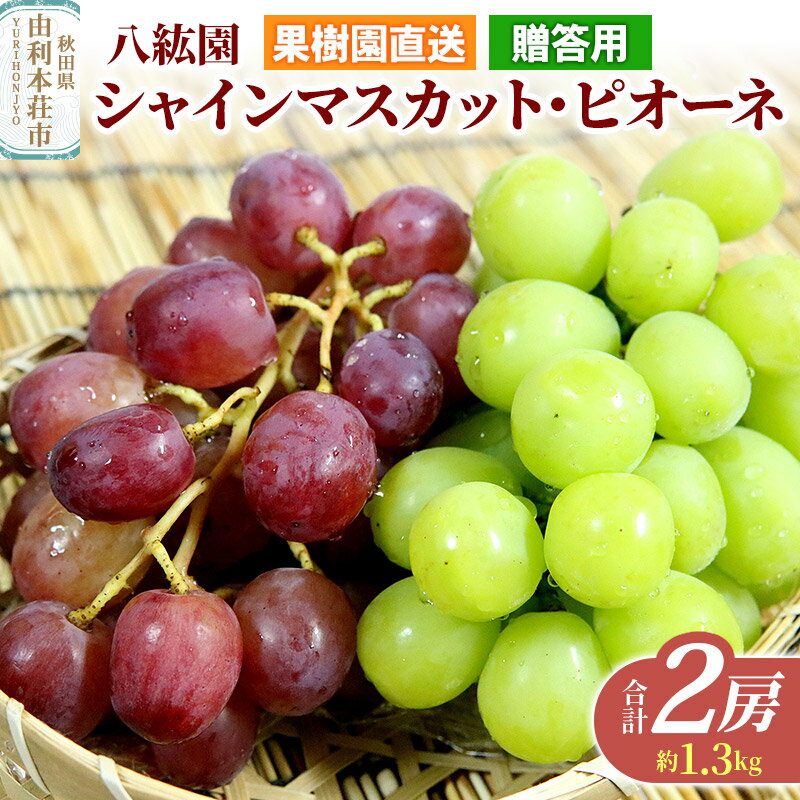 【ふるさと納税】秋田県 由利本荘市産 八紘園 シャインマスカット・ピオーネ 合計2房（約1.3kg）