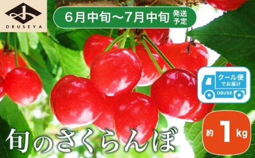旬のさくらんぼ 佐藤錦、紅秀峰、紅佐藤、紅香、サミット 約1kg［小布施屋］サクランボ くだもの 果物 フルーツ チェリー バラ詰め 長野県産 信州産 数量限定 令和8年産【2026年6月中旬～7月中旬発送】