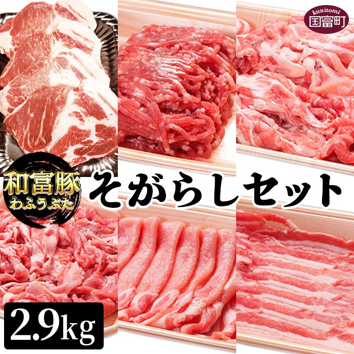 【ふるさと納税】＜和富豚 そがらしセット 2.9kg＞※入金確認後、翌月末迄に順次出荷します 豚肉 下ロース 豚肩ロース 豚バラ スライス 豚ウデ うで 豚こま 小間 豚モモ 食べ比べ 株式会社エムツー 国富店 宮崎県 国富町【冷凍】