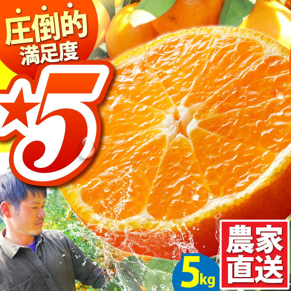 【ふるさと納税】【2025年10月下旬〜発送】温州みかん 5kg / みかん ミカン 蜜柑 フルーツ 甘い 果物 / 南島原市 / 蜜柑屋まつお [SCQ001]